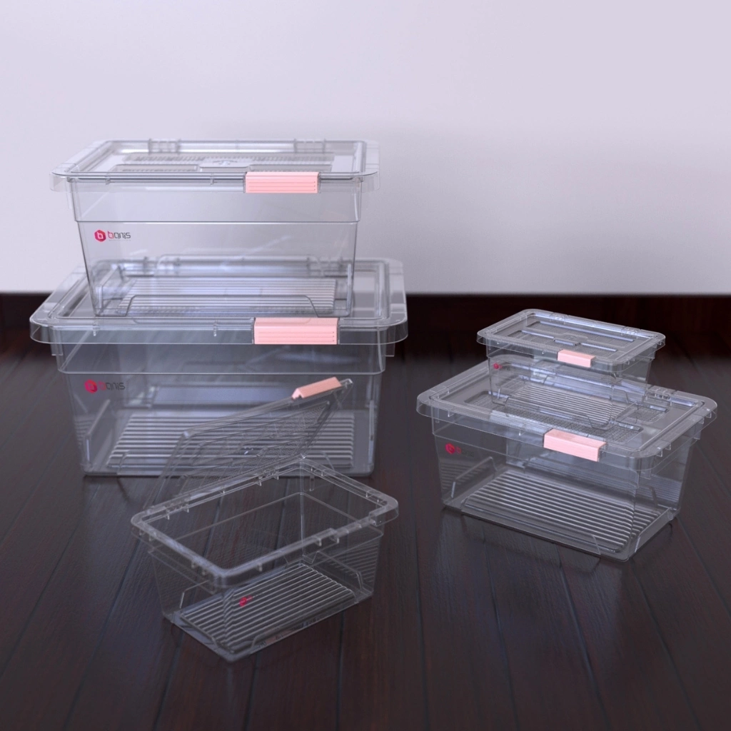 all boxes gloria